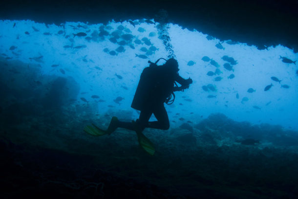 Diving Santa Fe with academy Bay Diving