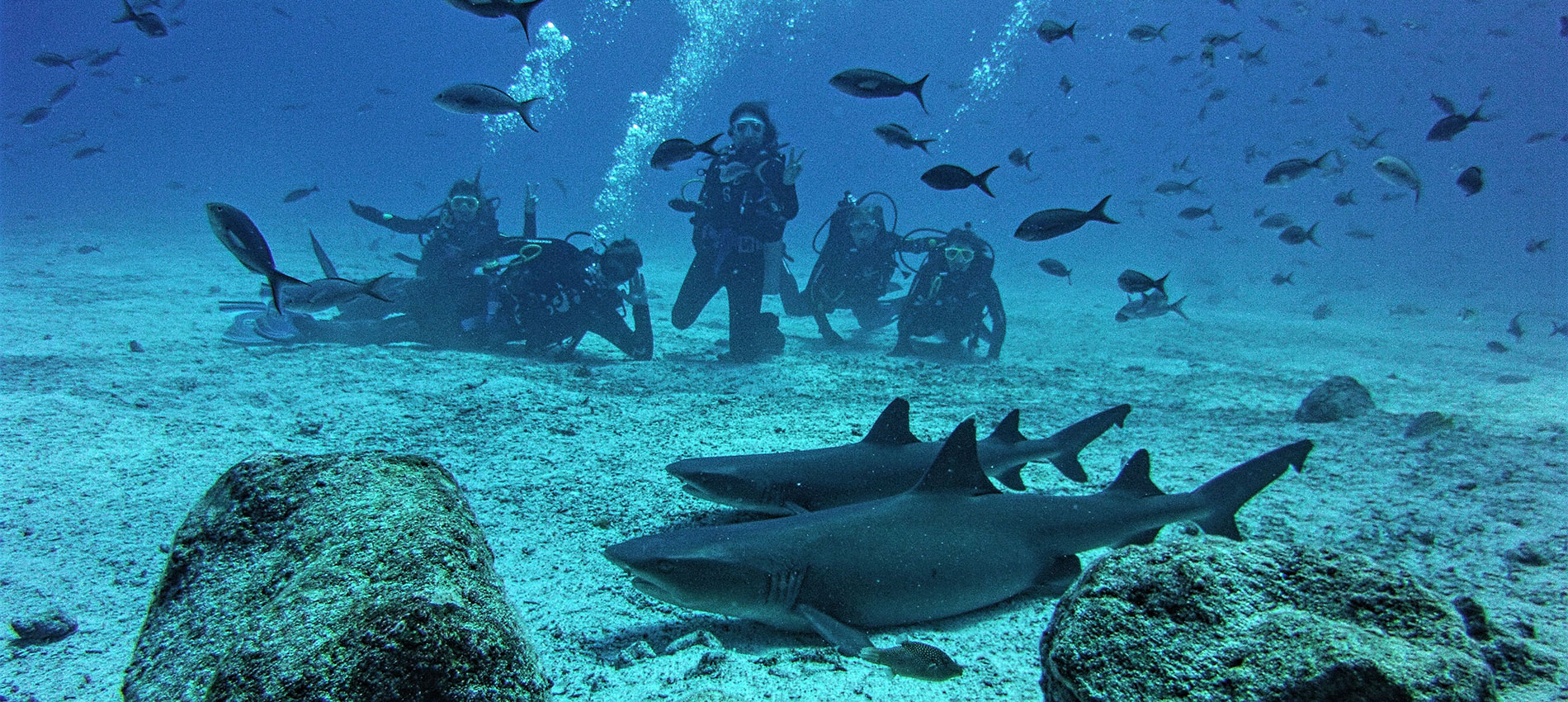 Complete Galapagos Academy Bay Diving