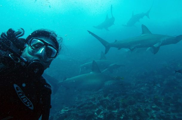 Diving Galapagos with hammerhead sharks