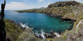 Diving Galapagos at Las Tijeretas