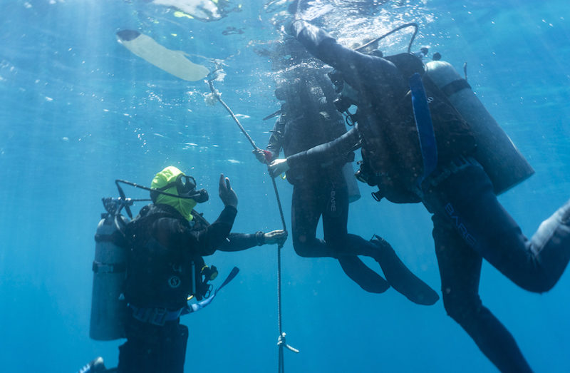 PADI courses Academy Bay diving galapagos