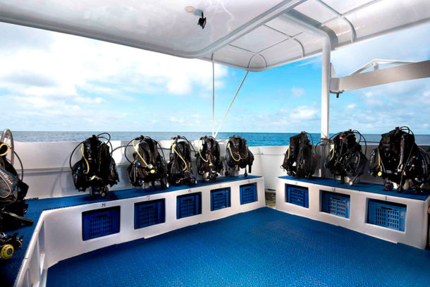 Galapagos Master liveaboard with Academy Bay Diving