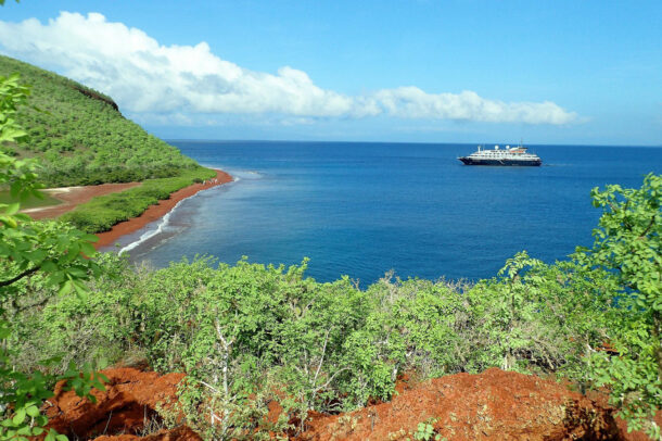 Adventures Await: A Diver's Paradise at Academy Bay in the Galapagos - Conservation Efforts in the Galapagos