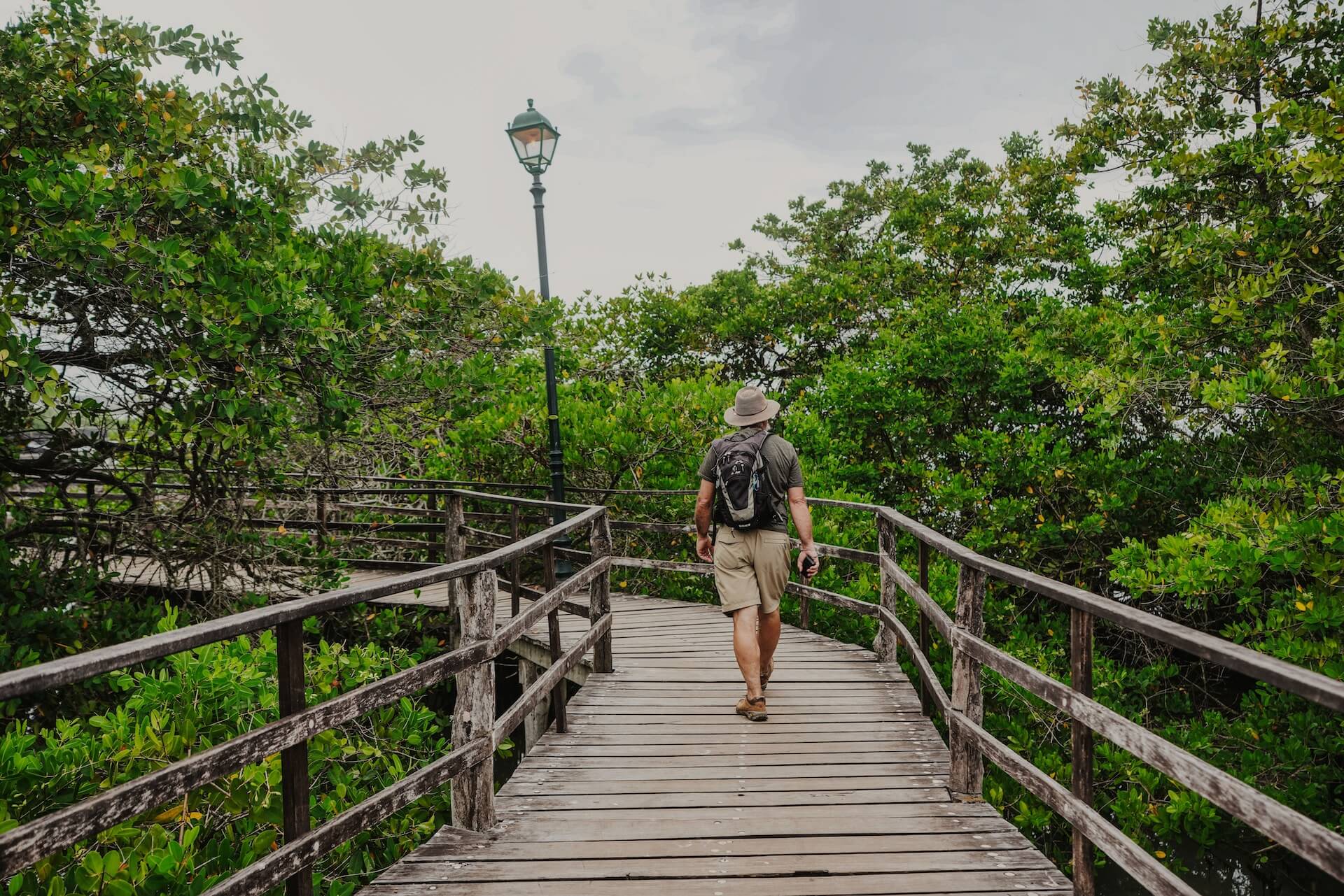 A person walking on a wooden bridge through a green forest. 